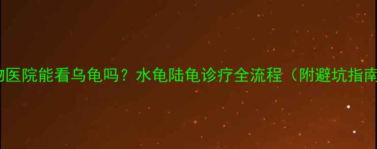 图片 宠物医院能看乌龟吗？水龟陆龟诊疗全流程（附避坑指南）2