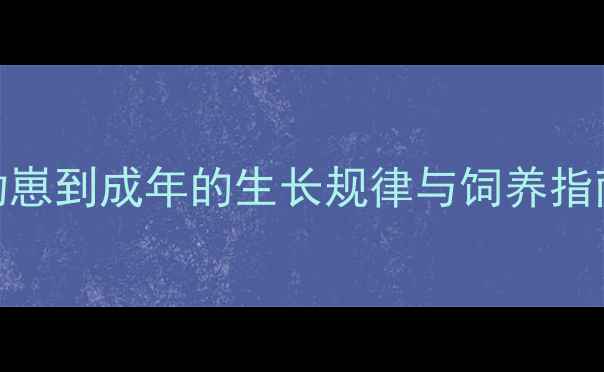图片 宠物小香猪体型全：从幼崽到成年的生长规律与饲养指南（附标准体重对照表）