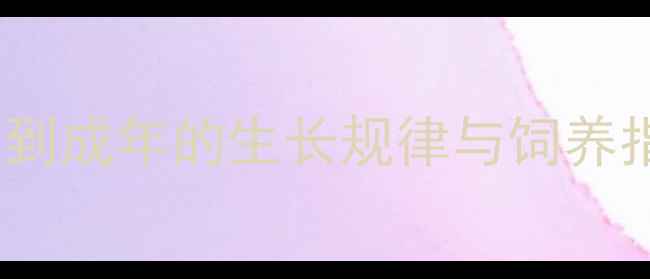图片 宠物小香猪体型全：从幼崽到成年的生长规律与饲养指南（附标准体重对照表）1