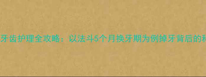 图片 宠物幼犬牙齿护理全攻略：以法斗5个月换牙期为例掉牙背后的科学养护1