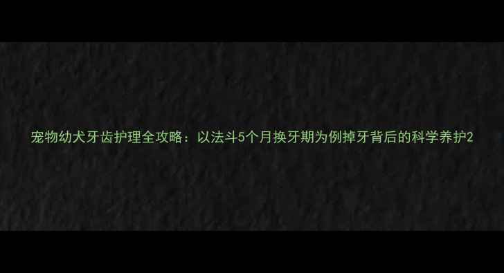 图片 宠物幼犬牙齿护理全攻略：以法斗5个月换牙期为例掉牙背后的科学养护2