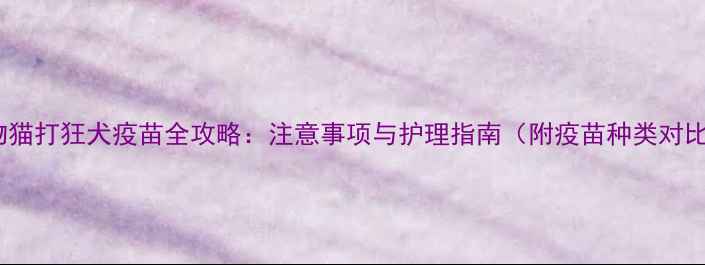 图片 宠物猫打狂犬疫苗全攻略：注意事项与护理指南（附疫苗种类对比）1