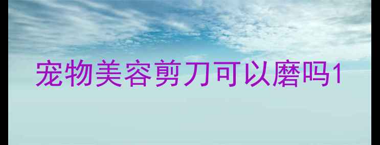 图片 宠物美容剪刀可以磨吗1