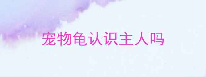 图片 宠物龟认识主人吗