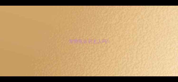 图片 宠物龟认识主人吗1