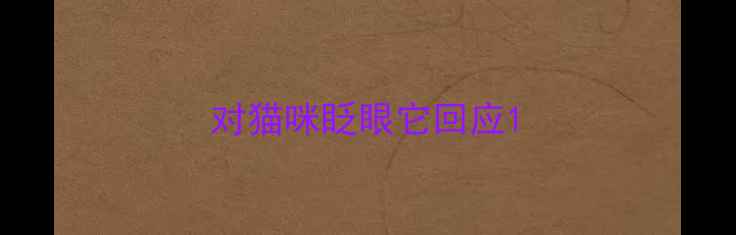 图片 对猫咪眨眼它回应1
