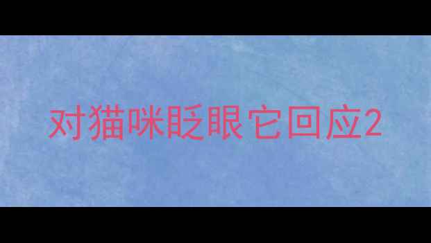 图片 对猫咪眨眼它回应2