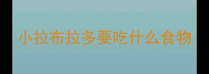 图片 小拉布拉多要吃什么食物