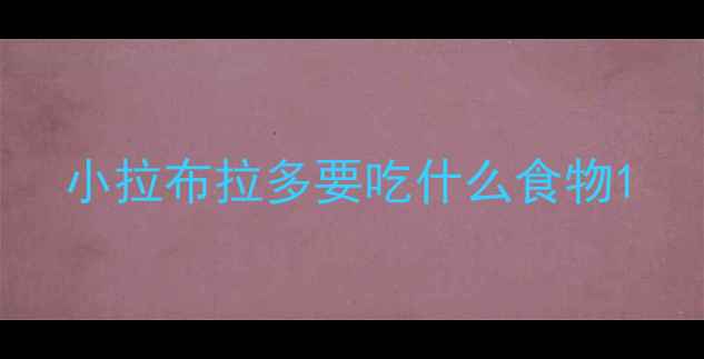 图片 小拉布拉多要吃什么食物1