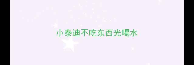 图片 小泰迪不吃东西光喝水