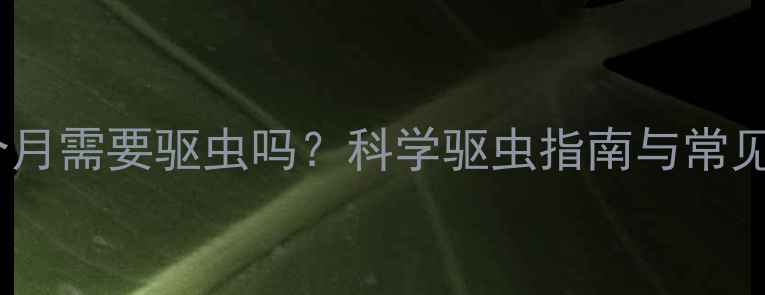 图片 小狗一个月需要驱虫吗？科学驱虫指南与常见误区全1