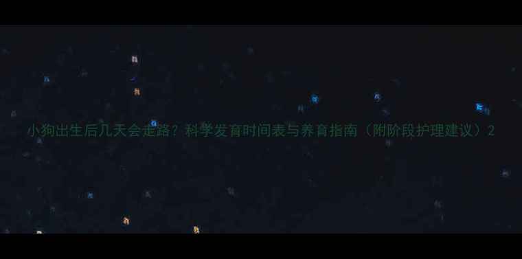 图片 小狗出生后几天会走路？科学发育时间表与养育指南（附阶段护理建议）2