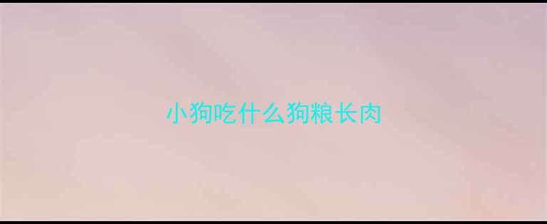 图片 小狗吃什么狗粮长肉