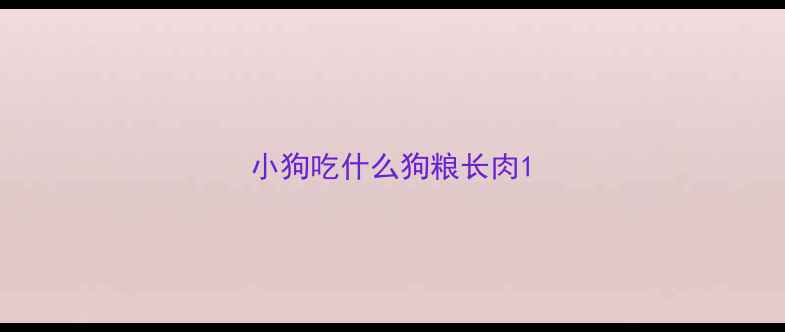 图片 小狗吃什么狗粮长肉1