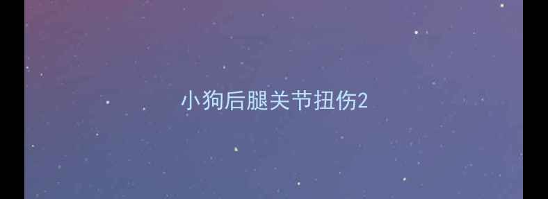 图片 小狗后腿关节扭伤2