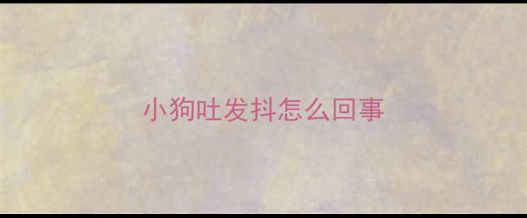 图片 小狗吐发抖怎么回事