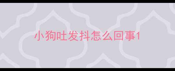 图片 小狗吐发抖怎么回事1
