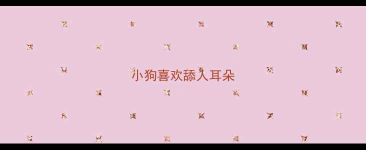 图片 小狗喜欢舔人耳朵