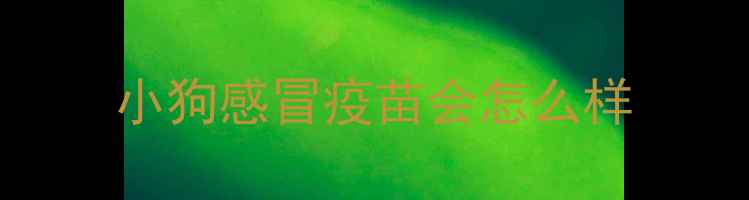 图片 小狗感冒疫苗会怎么样