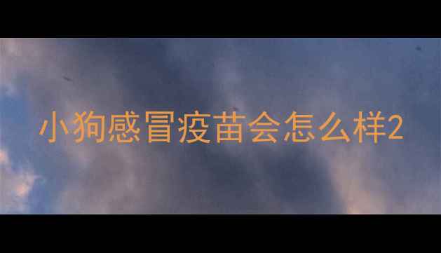 图片 小狗感冒疫苗会怎么样2