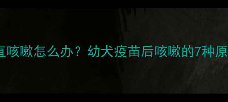 图片 小狗打完疫苗后一直咳嗽怎么办？幼犬疫苗后咳嗽的7种原因和科学应对指南1
