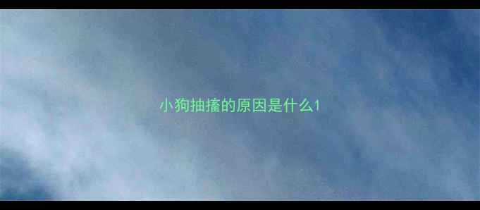 图片 小狗抽搐的原因是什么1