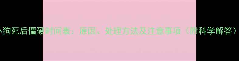 图片 小狗死后僵硬时间表：原因、处理方法及注意事项（附科学解答）1