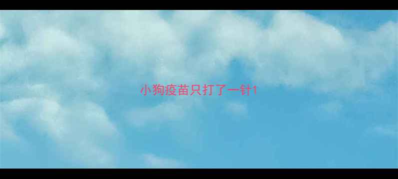 图片 小狗疫苗只打了一针1