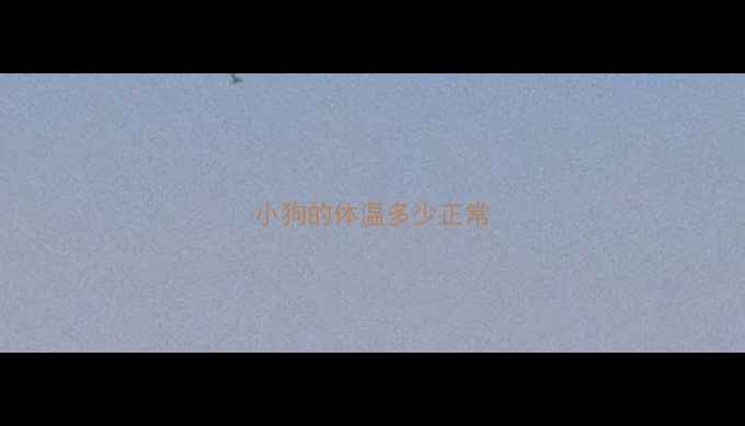 图片 小狗的体温多少正常
