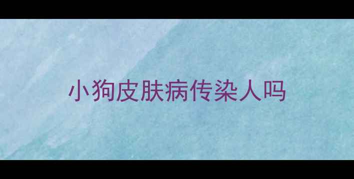 图片 小狗皮肤病传染人吗