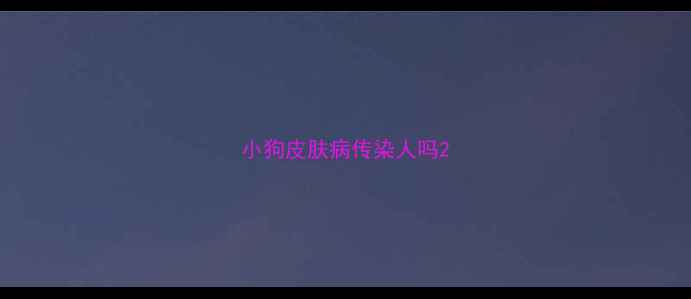 图片 小狗皮肤病传染人吗2