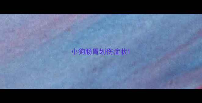 图片 小狗肠胃划伤症状1