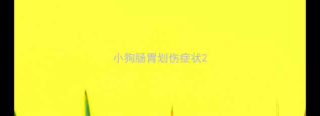 图片 小狗肠胃划伤症状2