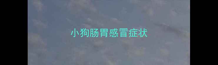 图片 小狗肠胃感冒症状