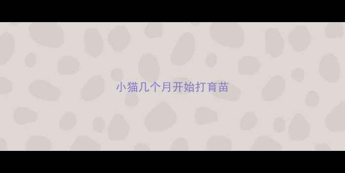 图片 小猫几个月开始打育苗