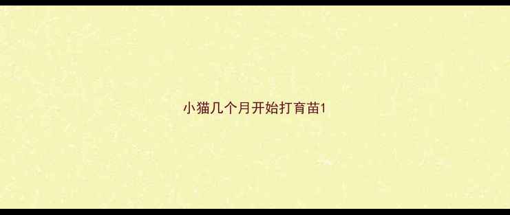 图片 小猫几个月开始打育苗1