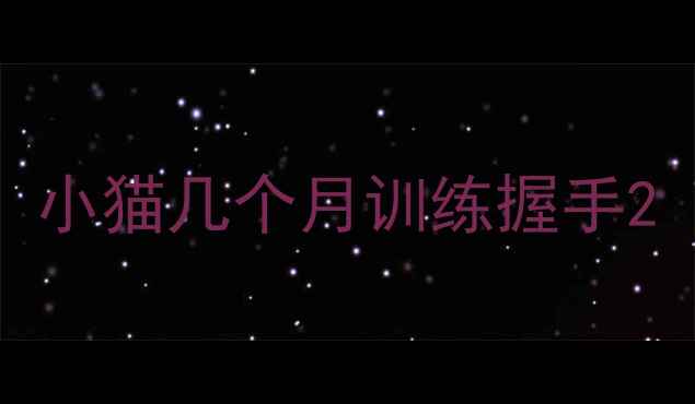 图片 小猫几个月训练握手2