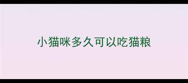 图片 小猫咪多久可以吃猫粮