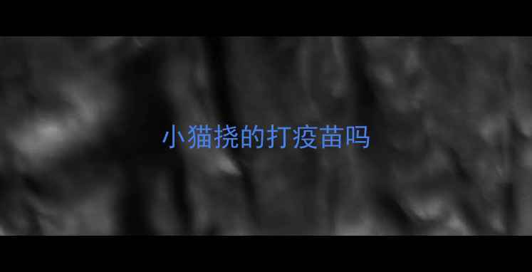 图片 小猫挠的打疫苗吗