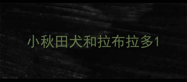 图片 小秋田犬和拉布拉多1
