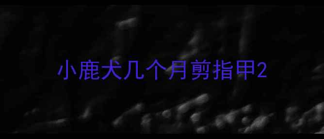 图片 小鹿犬几个月剪指甲2