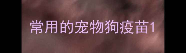 图片 常用的宠物狗疫苗1