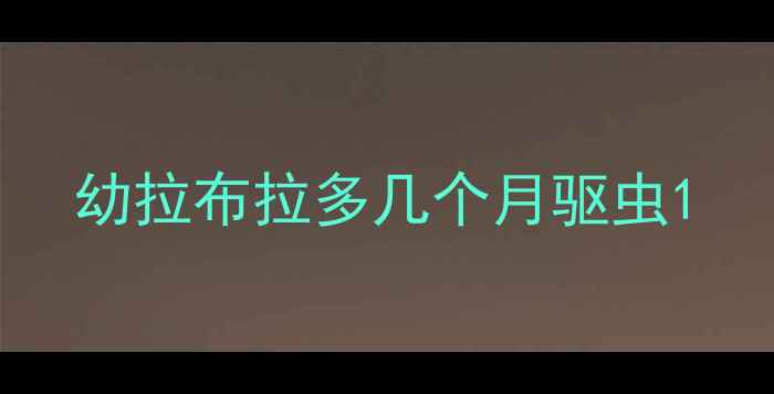 图片 幼拉布拉多几个月驱虫1