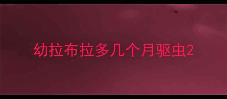 图片 幼拉布拉多几个月驱虫2
