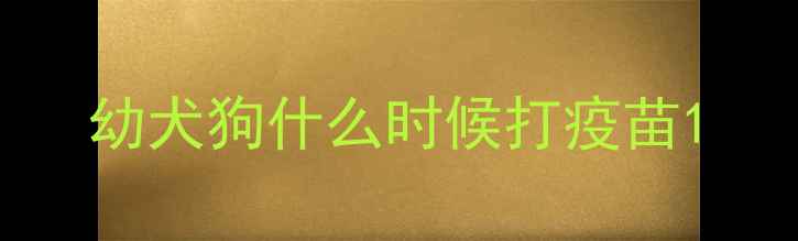 图片 幼犬狗什么时候打疫苗1