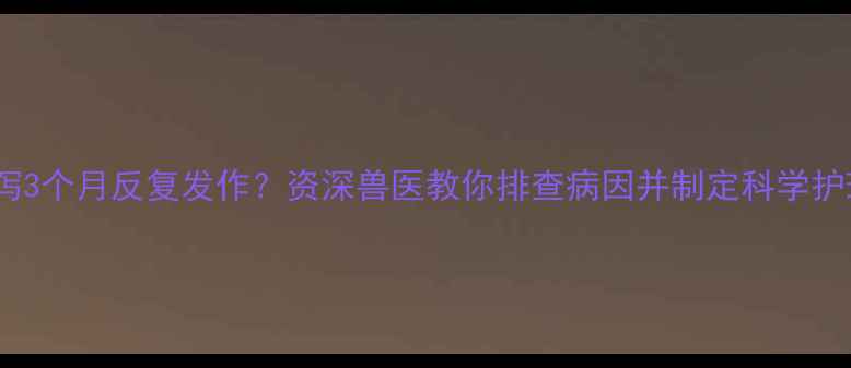 图片 幼犬腹泻3个月反复发作？资深兽医教你排查病因并制定科学护理方案1