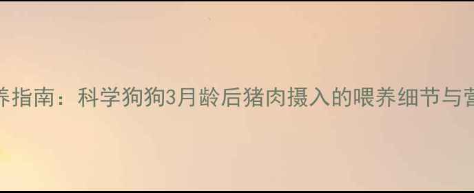 图片 幼犬饲养指南：科学狗狗3月龄后猪肉摄入的喂养细节与营养搭配