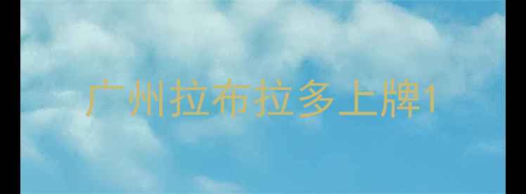 图片 广州拉布拉多上牌1