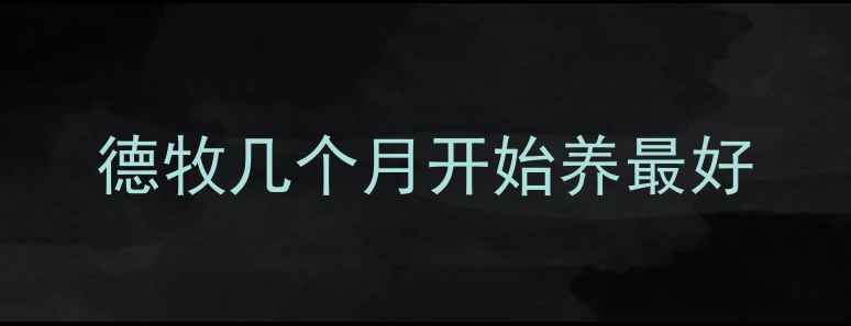图片 德牧几个月开始养最好