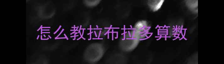 图片 怎么教拉布拉多算数